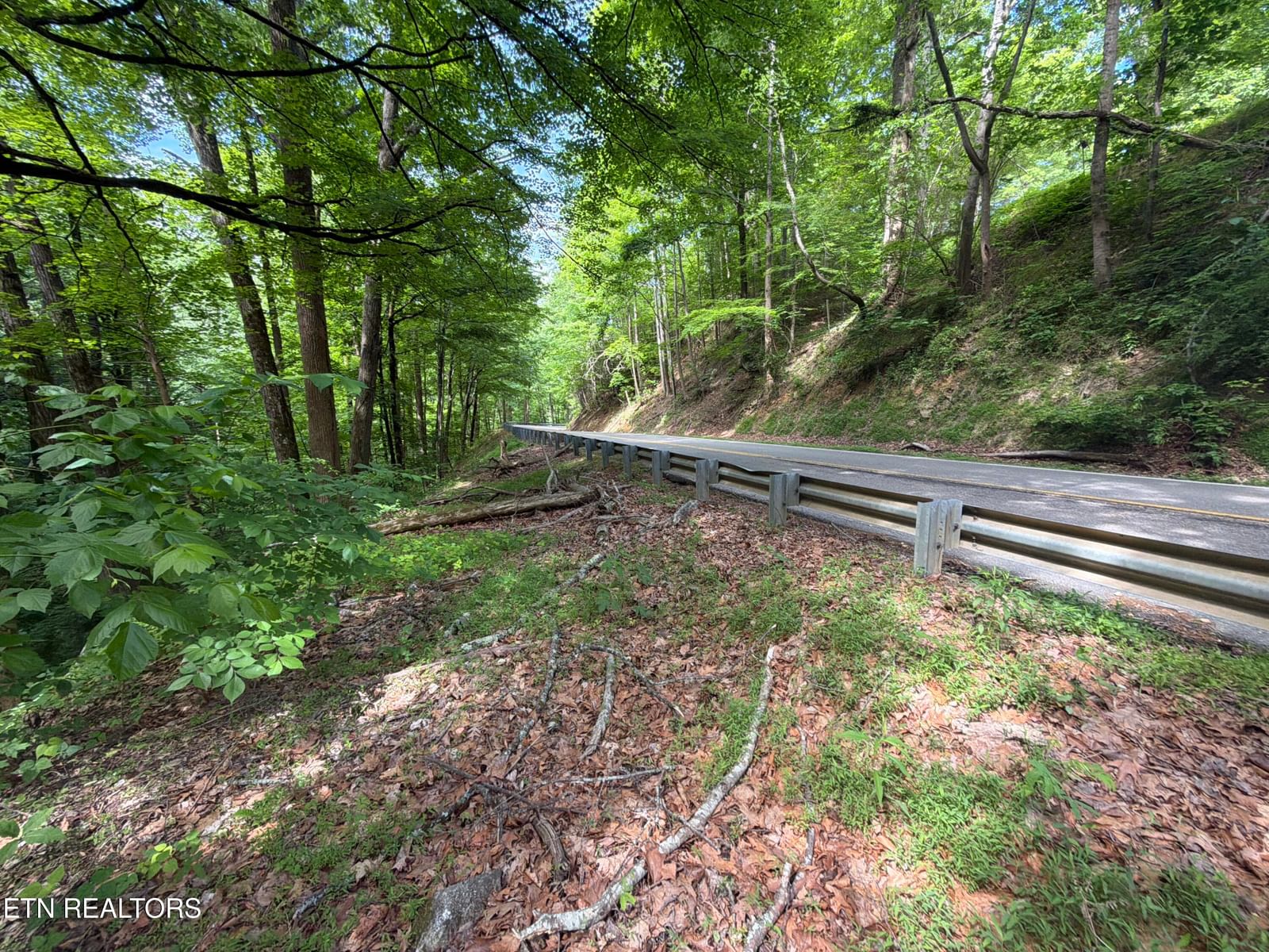 Wears Valley Rd Rd, Townsend, TN 37882 — Photo 1