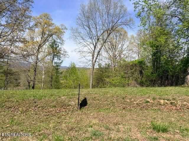 Lot 74 Saddleridge Drive, Speedwell, TN 37870 — Photo 1