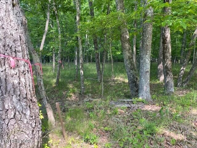 11 Rolling Green Circle, Crossville, TN 38558 — Photo 1