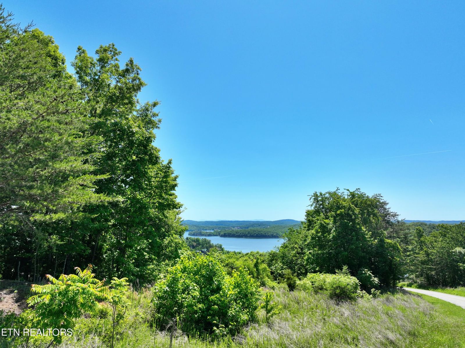 0 Flint Ridge Rd, Rockwood, TN 37854 — Photo 1