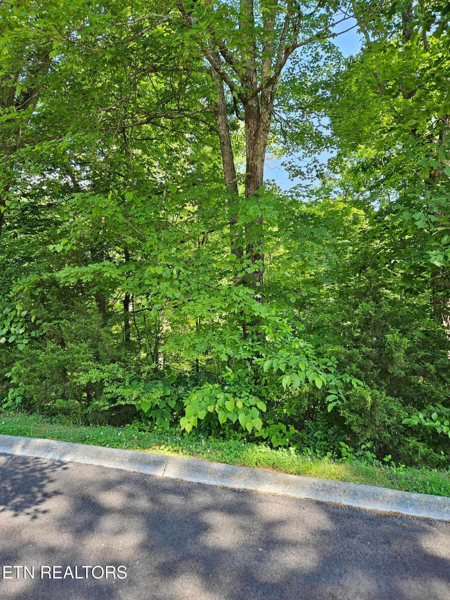lot 15 Saddleback Way, Sevierville, TN 37862 — Photo 1