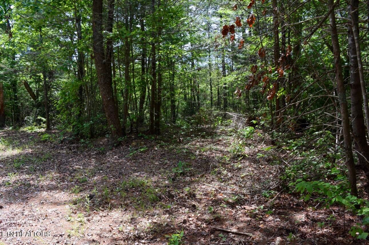 1840 Bryant Hollow Way, Sevierville, TN 37876 — Photo 1