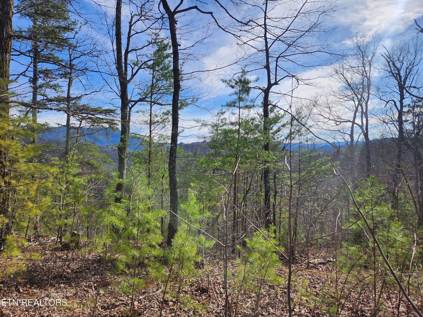 Lot 46 Feld Wynde Close Way, Sevierville, TN 37862 — Photo 1