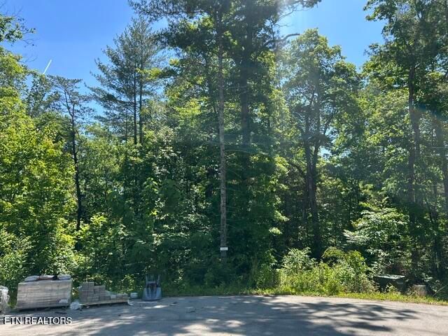 325 Beckett Ridge Rd, Townsend, TN 37882 — Photo 1