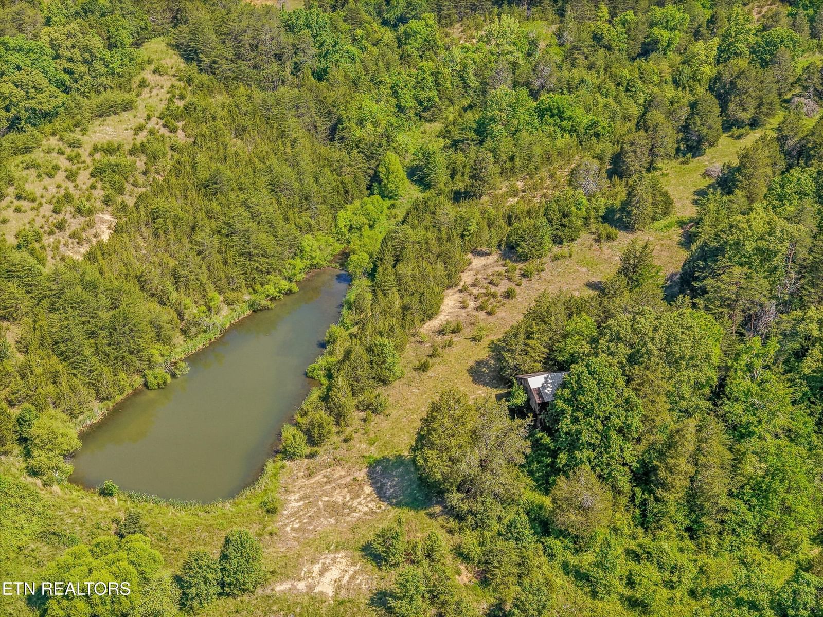 Alex Bales Rd, Kodak, TN 37764 — Photo 1