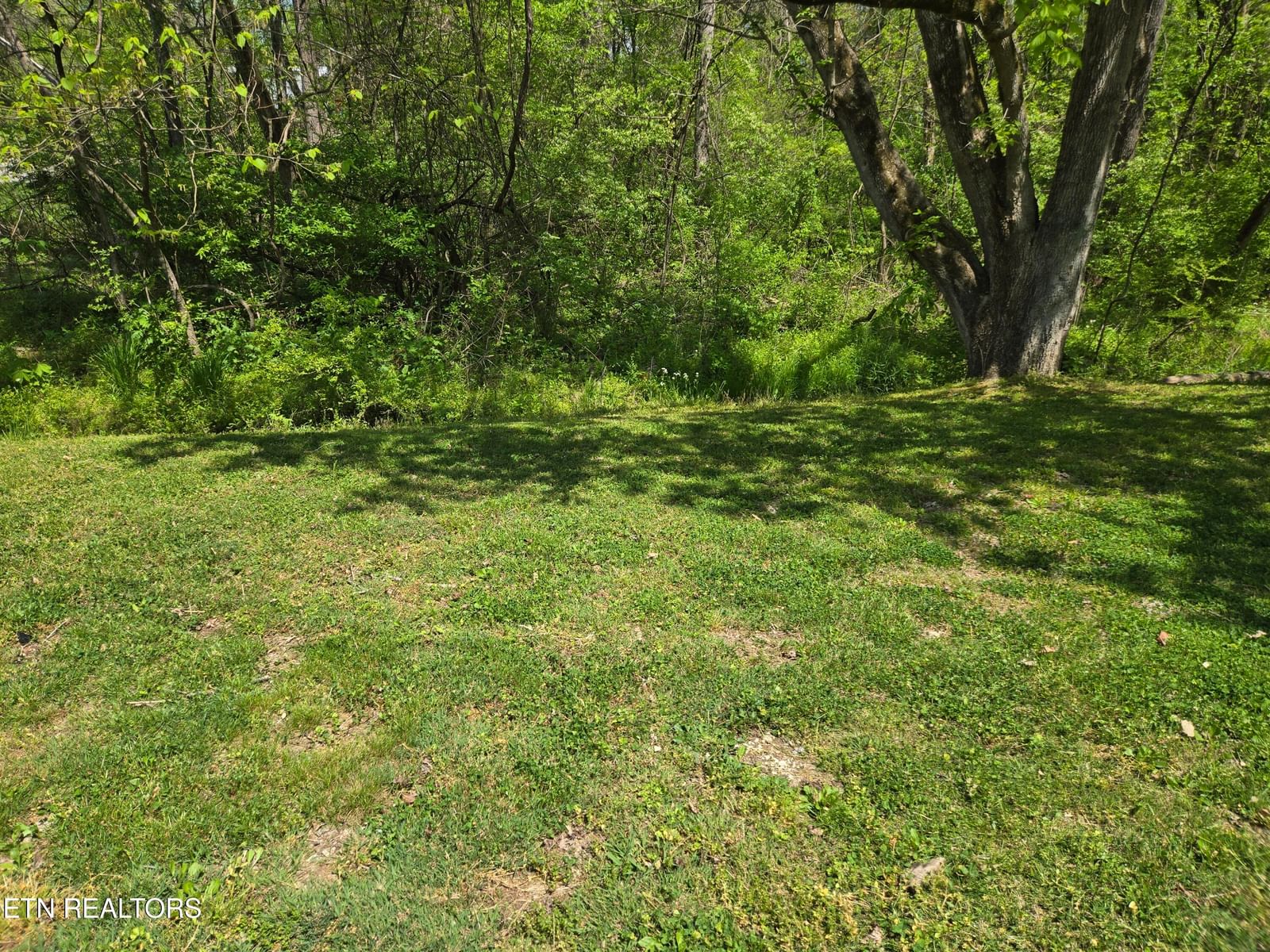 564 Keylon Drive, Harriman, TN 37748 — Photo 1