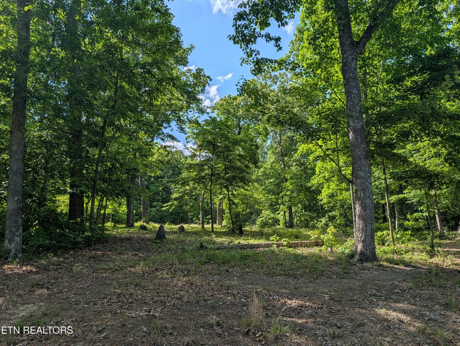 Lot 94/95 Red Oak Lane, Spring City, TN 37381 — Photo 1