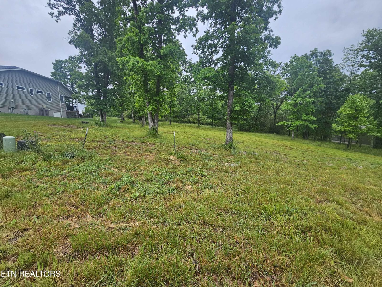 Holly Tree Drive, Crossville, TN 38555 — Photo 1