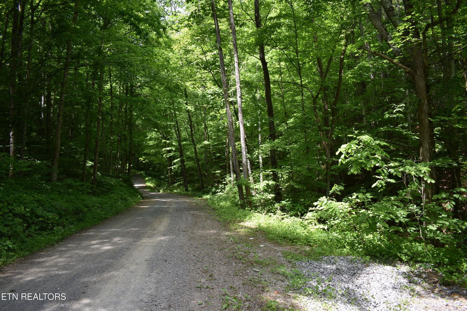 Shady Valley Rd, Ewing, VA 24248 — Photo 1