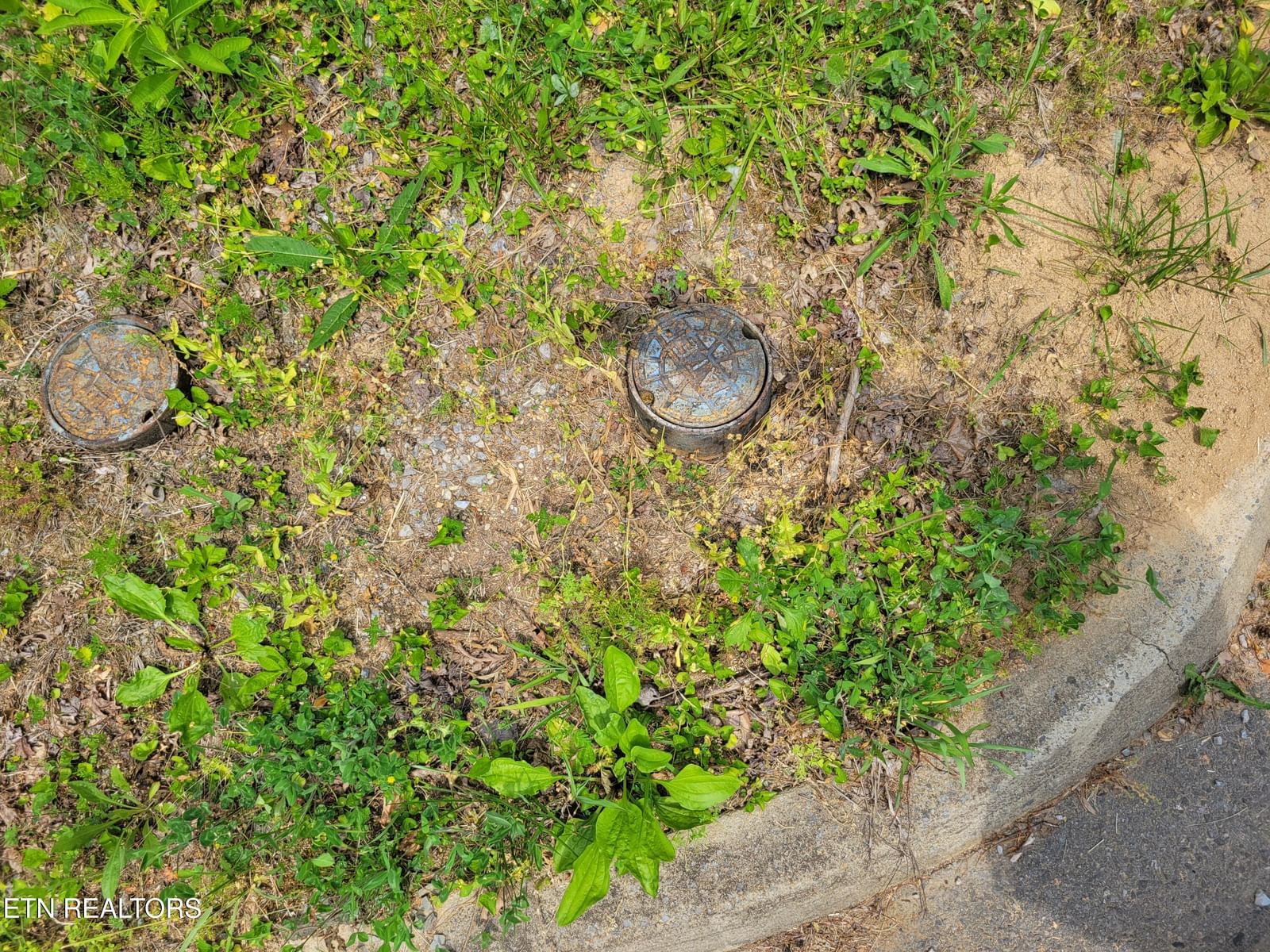 Lot 15 Peace Lane, Cosby, TN 37722 — Photo 1