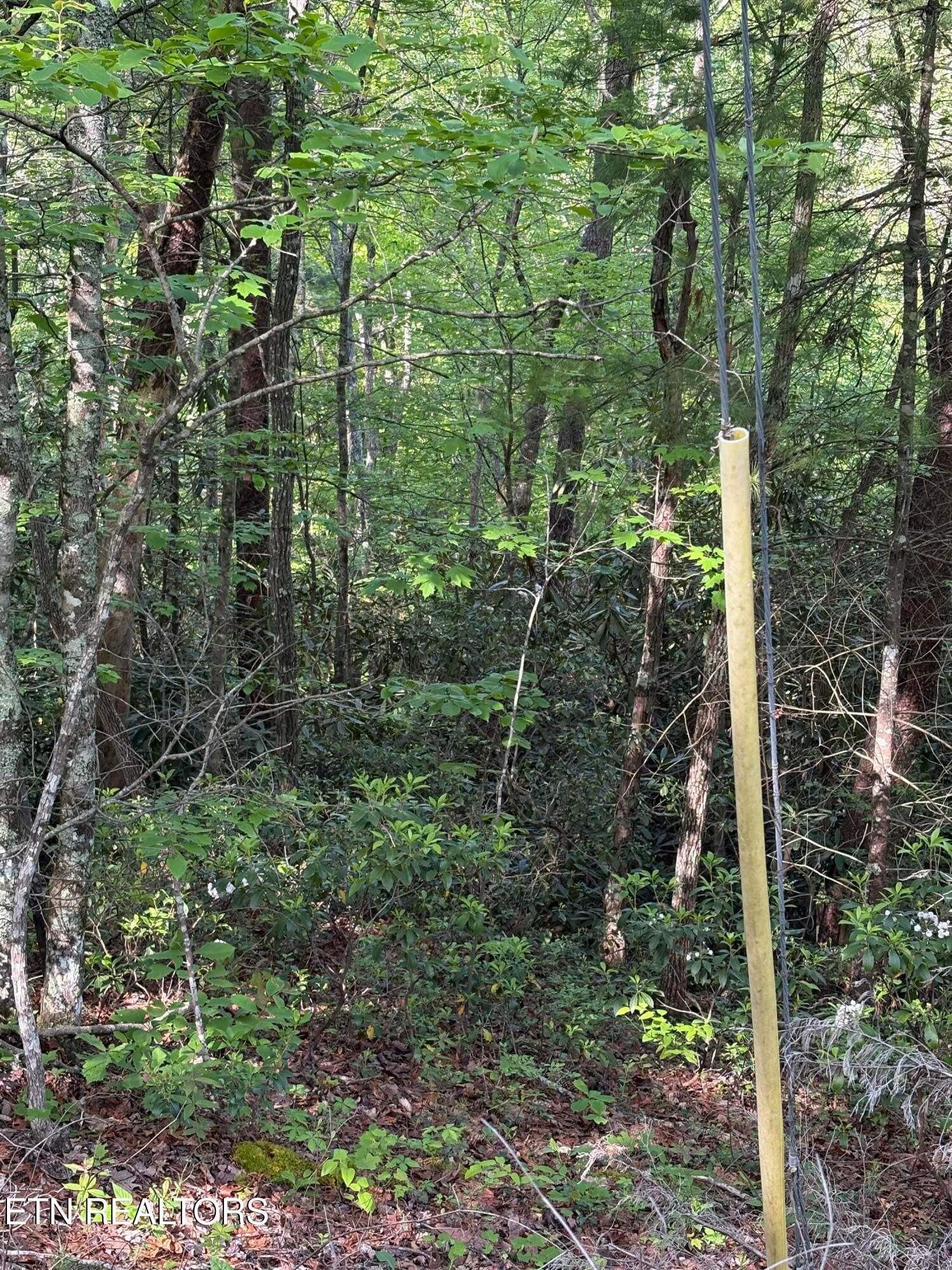 Lot 6 Walnut Flats Rd, Walland, TN 37886 — Photo 1