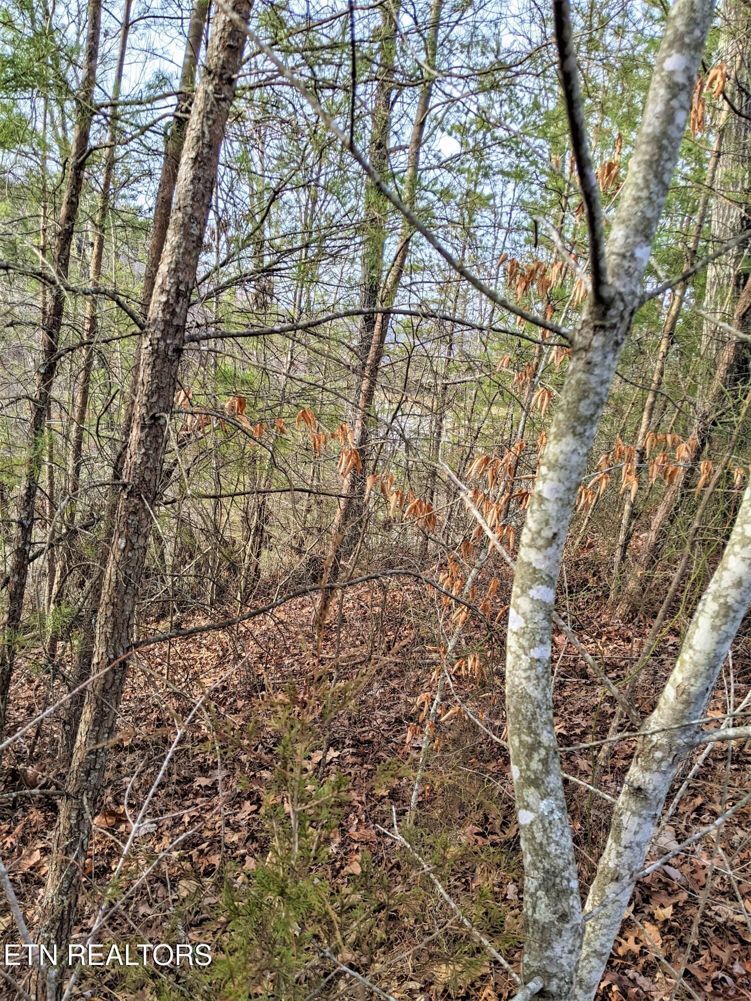 6220-6224 Outlook Tr, Russellville, TN 37860 — Photo 1
