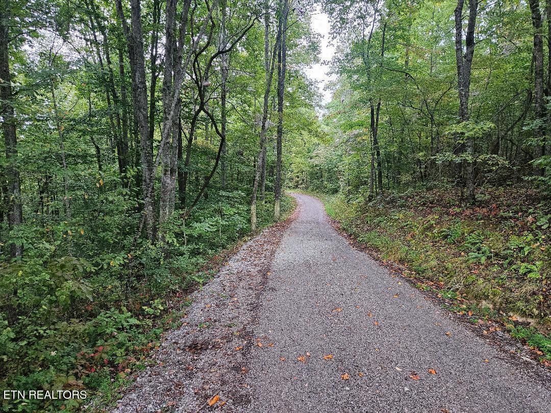 Sells Cemetery Rd, Wilder, TN 38589 — Photo 1