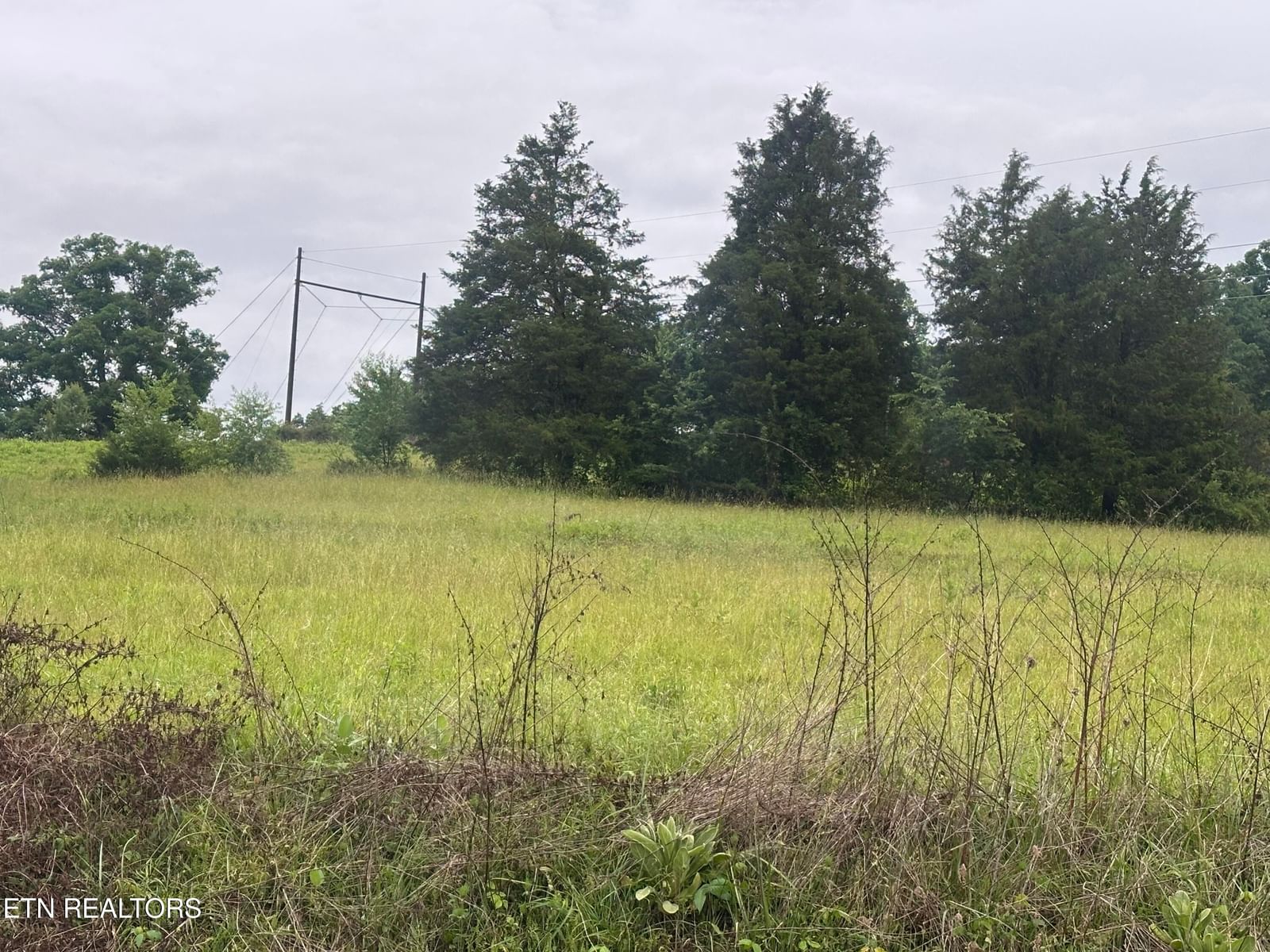 Blackwater Rd, Sneedville, TN 37869 — Photo 1