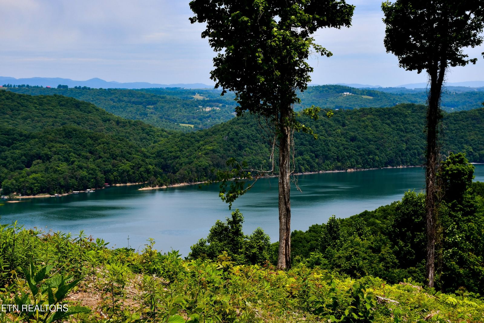 LOT 18 CROWN HILL, Maynardville, TN 37807 — Photo 1