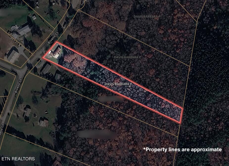160 Bivens Court, Niota, TN 37826 — Photo 1