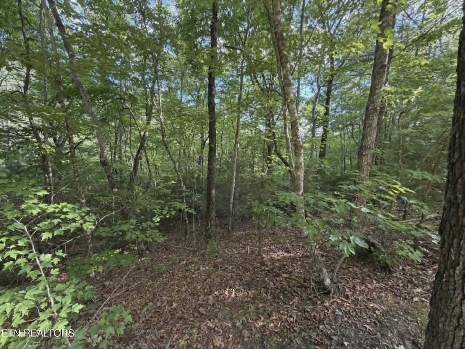 Fox Hunters Lane, Sevierville, TN 37876 — Photo 1