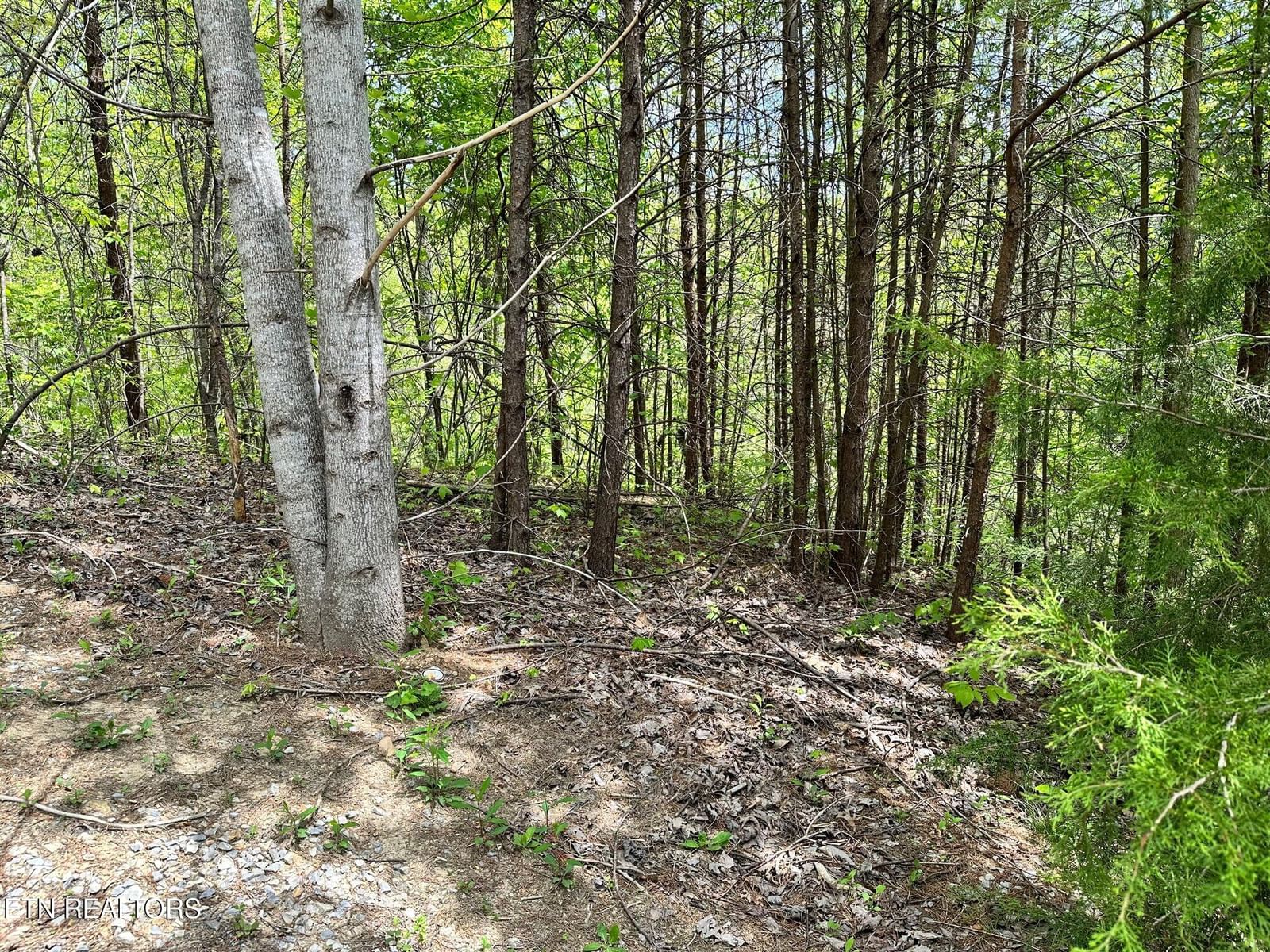 1430 Mountain Dreams Way, Sevierville, TN 37862 — Photo 1