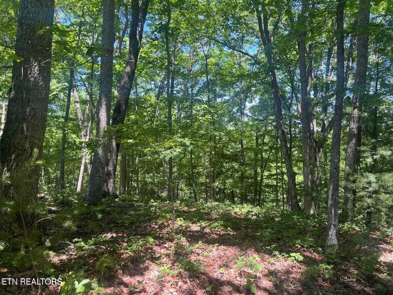 33 Camden Court, Crossville, TN 38558 — Photo 1