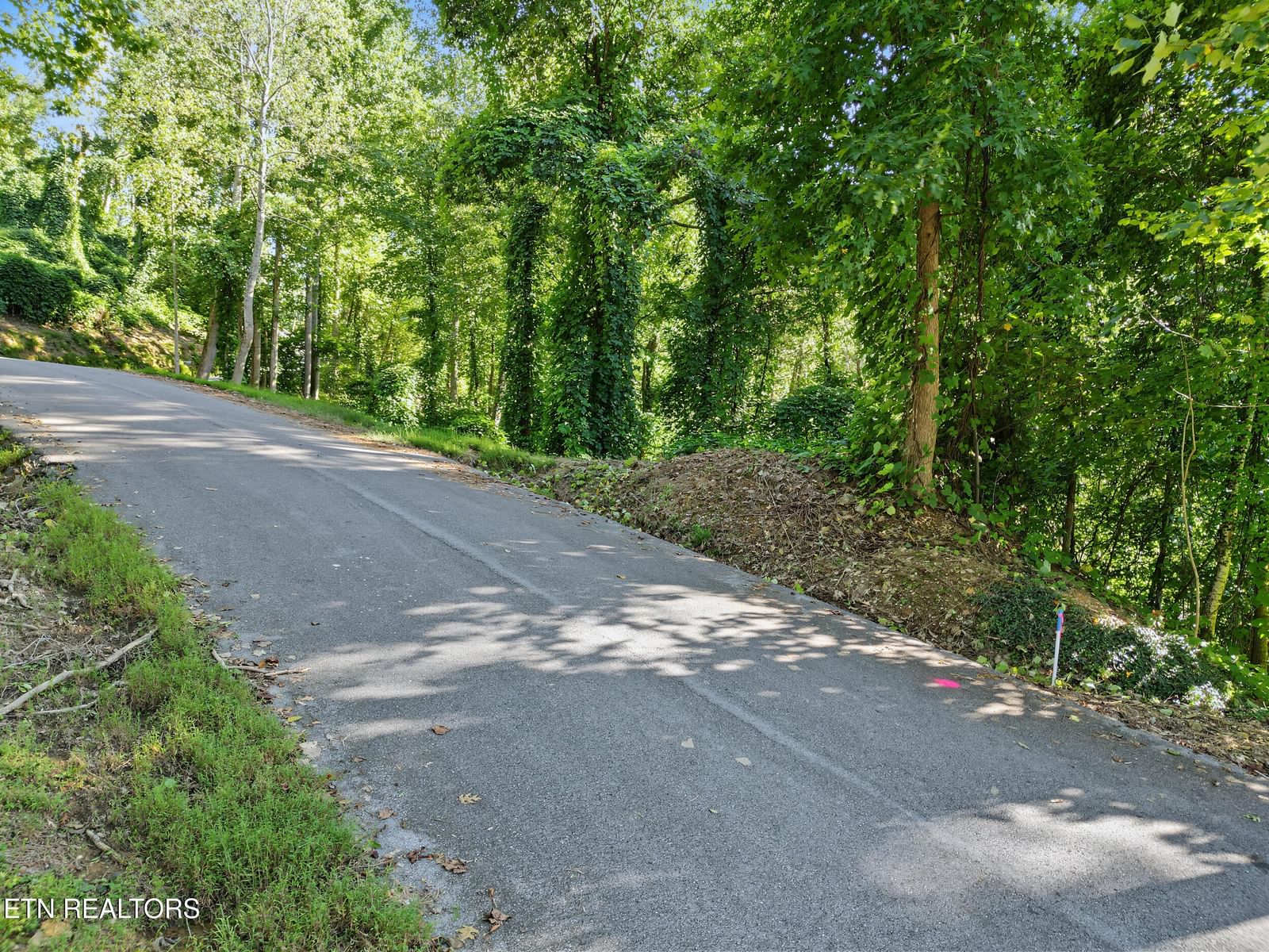 Lot 15 Davenport Rd, Gatlinburg, TN 37738 — Photo 1