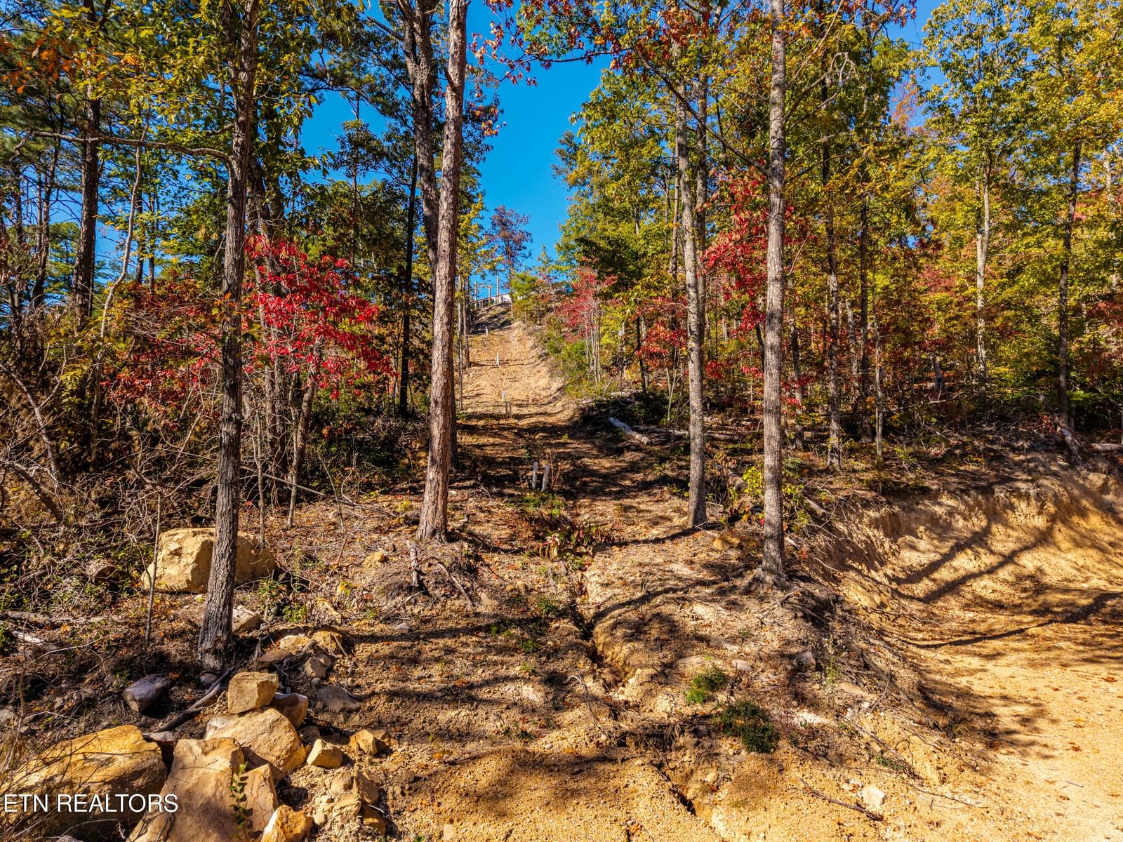 Patty View Way, Sevierville, TN 37862