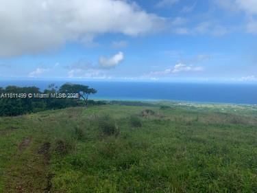 00 PRIME OCEANVIEW ST ANN, JAMAICA - 1