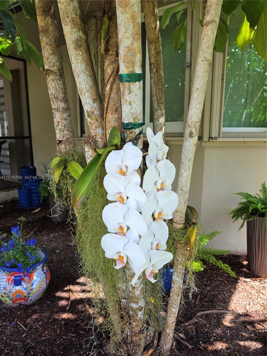 13022 SW 113th Pl - 70