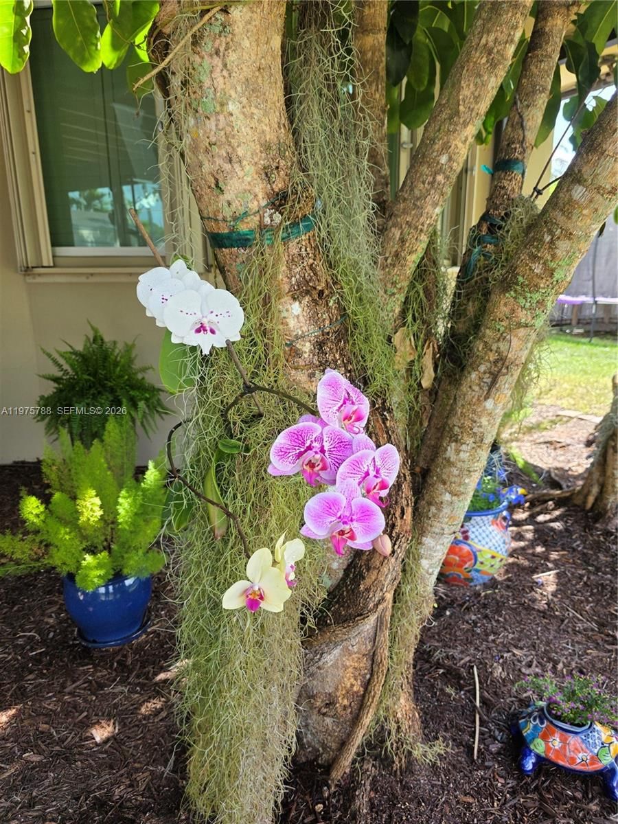 13022 SW 113th Pl - 71