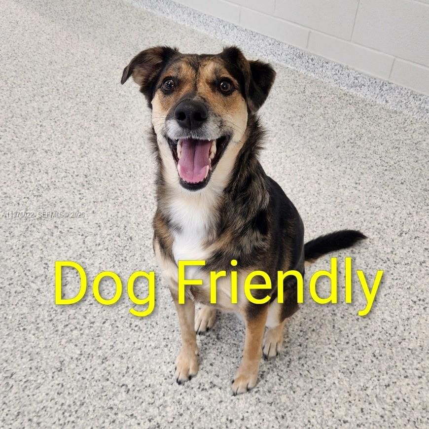 2630 SW 28th St, Unit 51 - 22