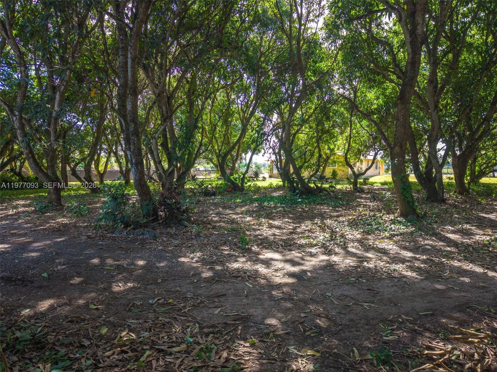 15401 SW 212th St - 48