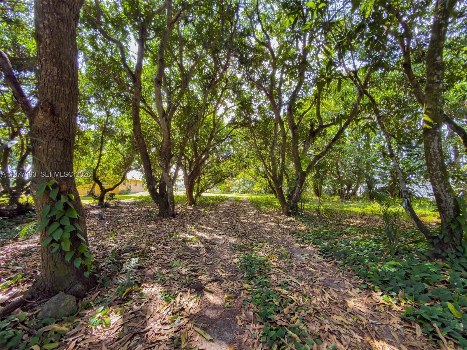 15401 SW 212th St - 58