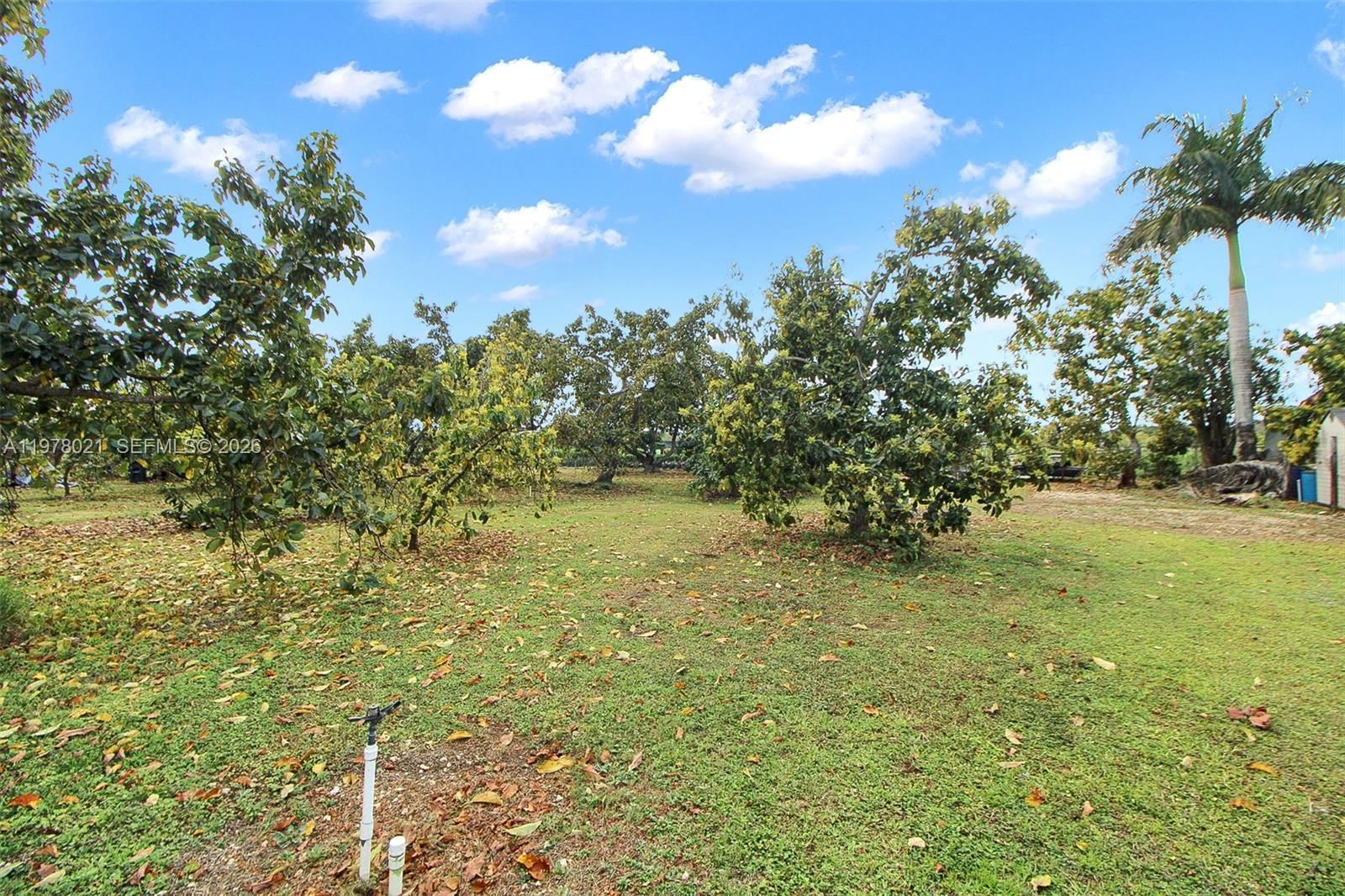 26500 SW 187th Ave - 36