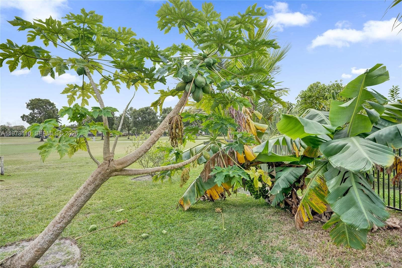 11181 NW 26th Dr - 59