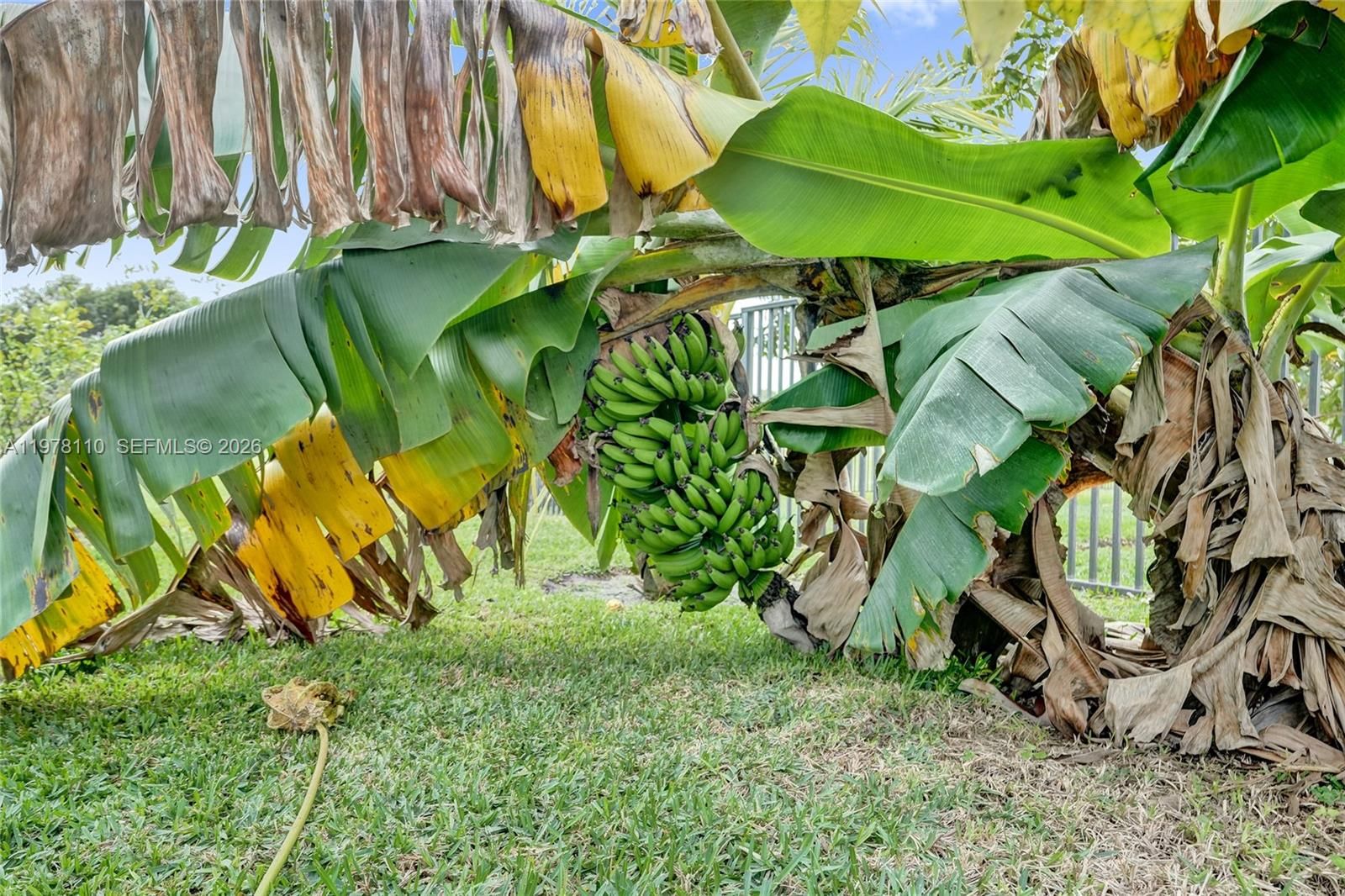 11181 NW 26th Dr - 60