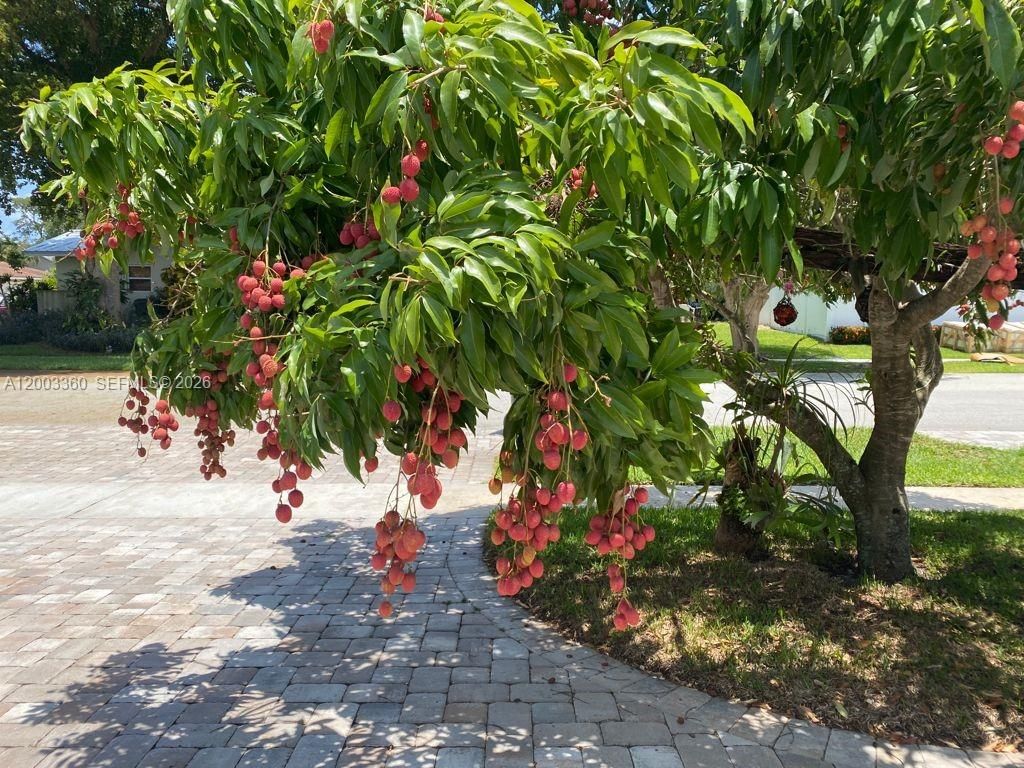 1251 SW 11TH TER - 1