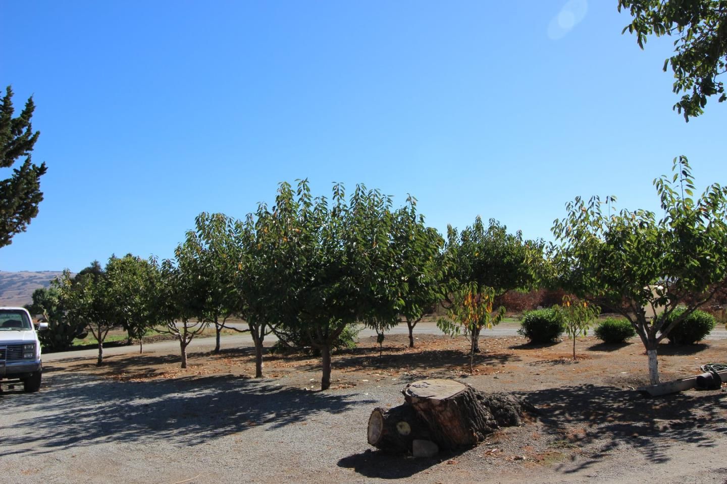 Pacheco Pass
