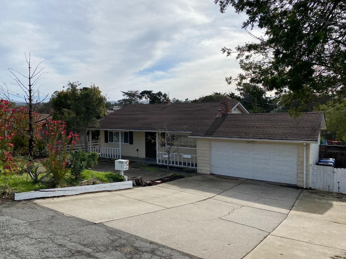 Listing Photo 1