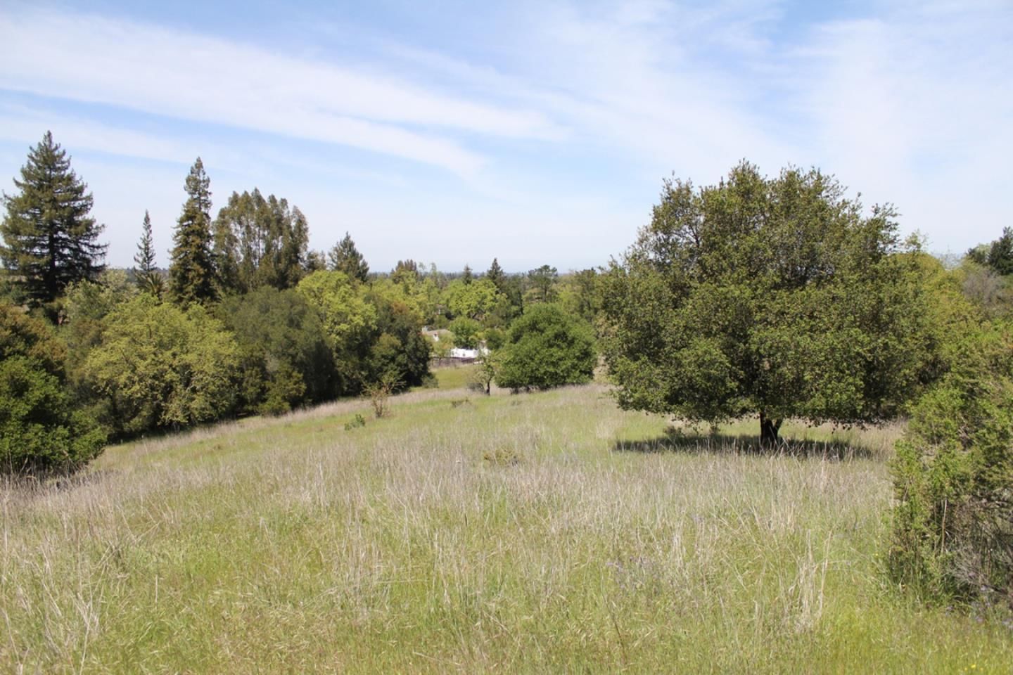 Twin Oaks