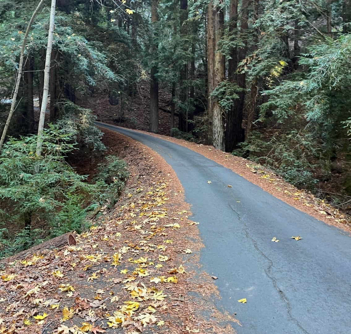Old Logging