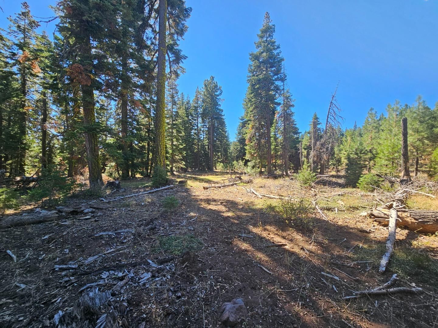 MLS Listing Photo 1