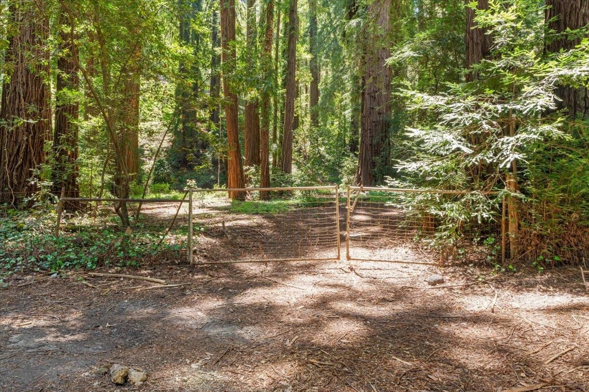 Grove