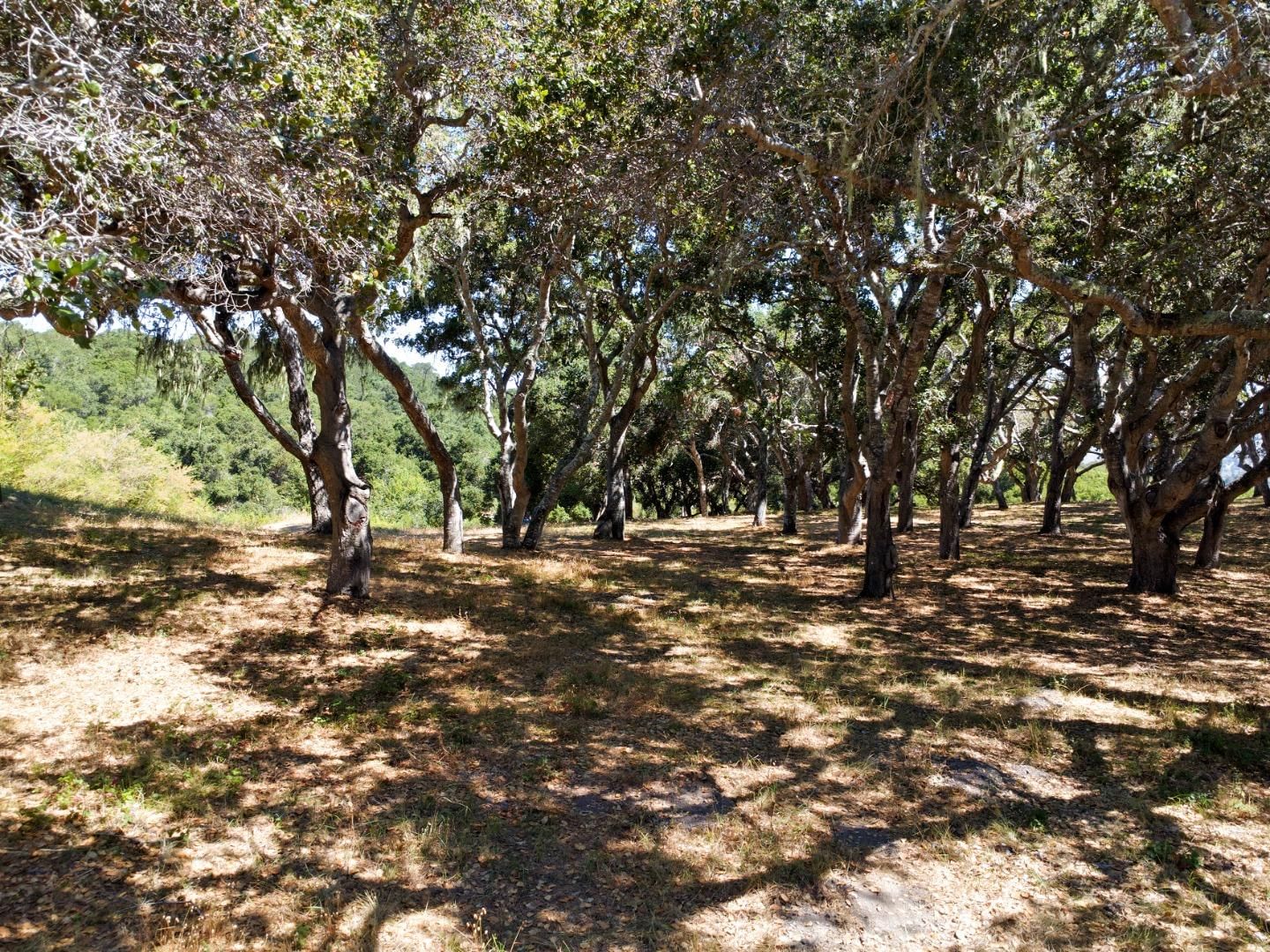 Holding Field