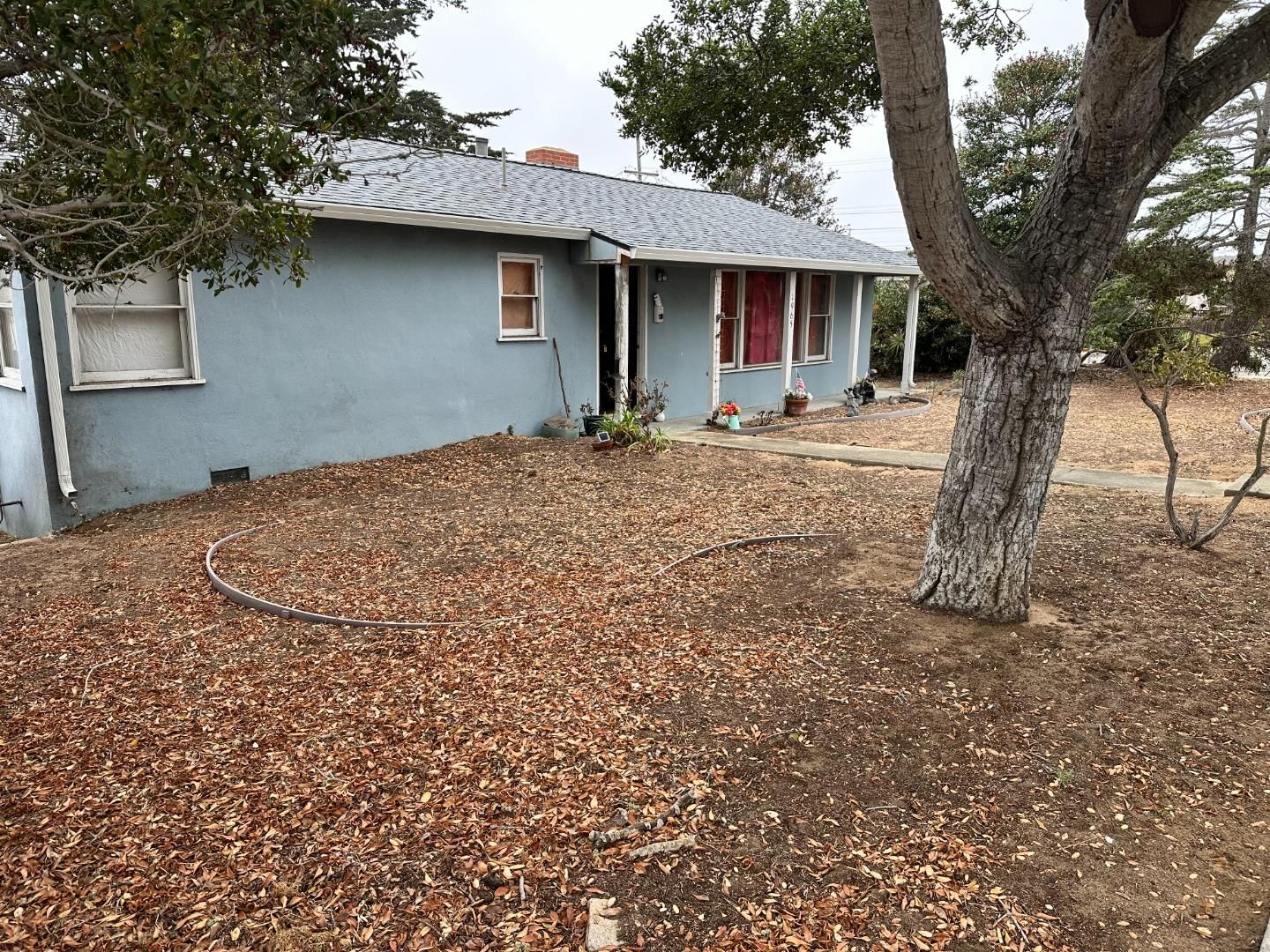 Listing Photo 1