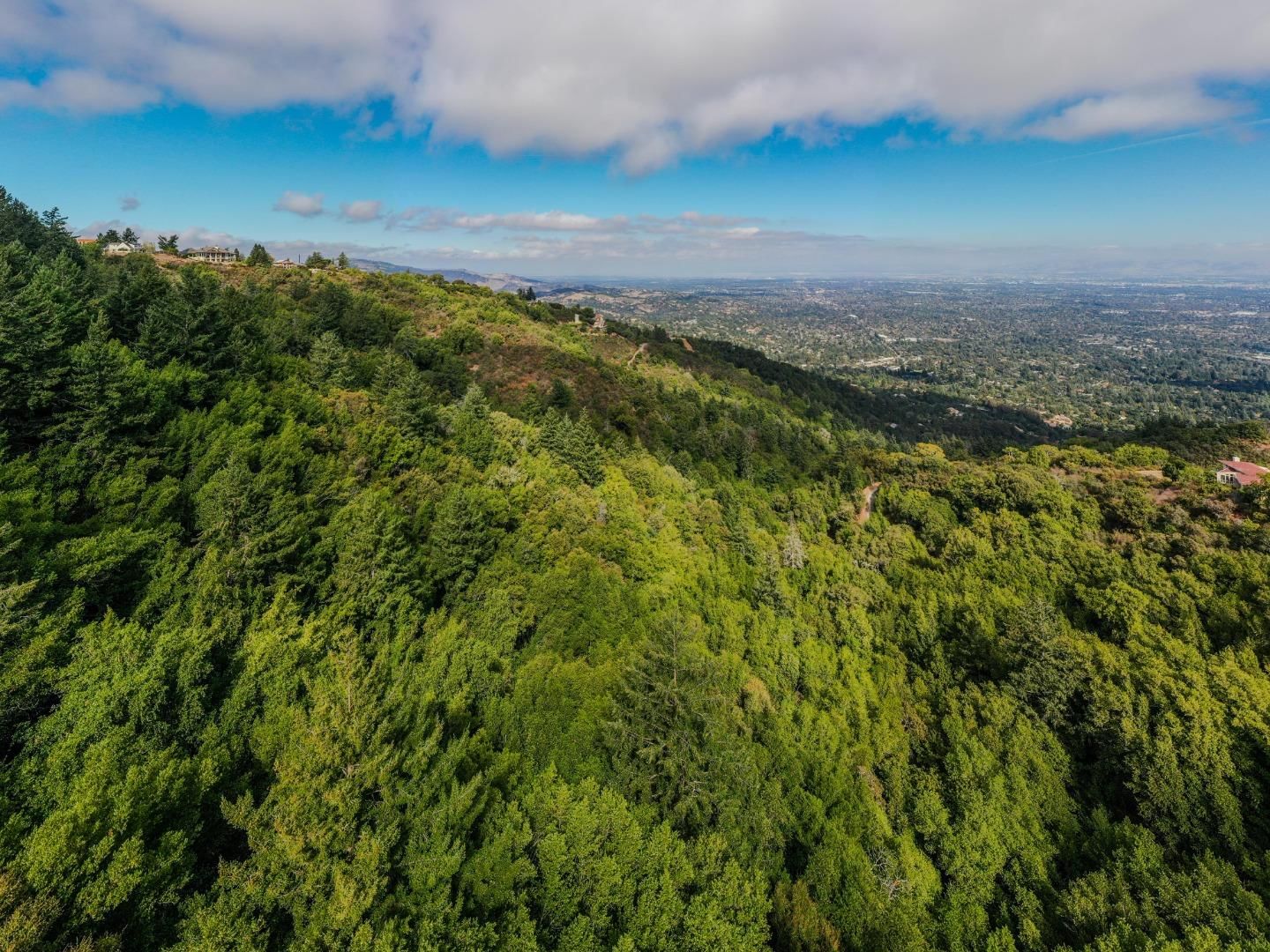 Wildcat Ridge