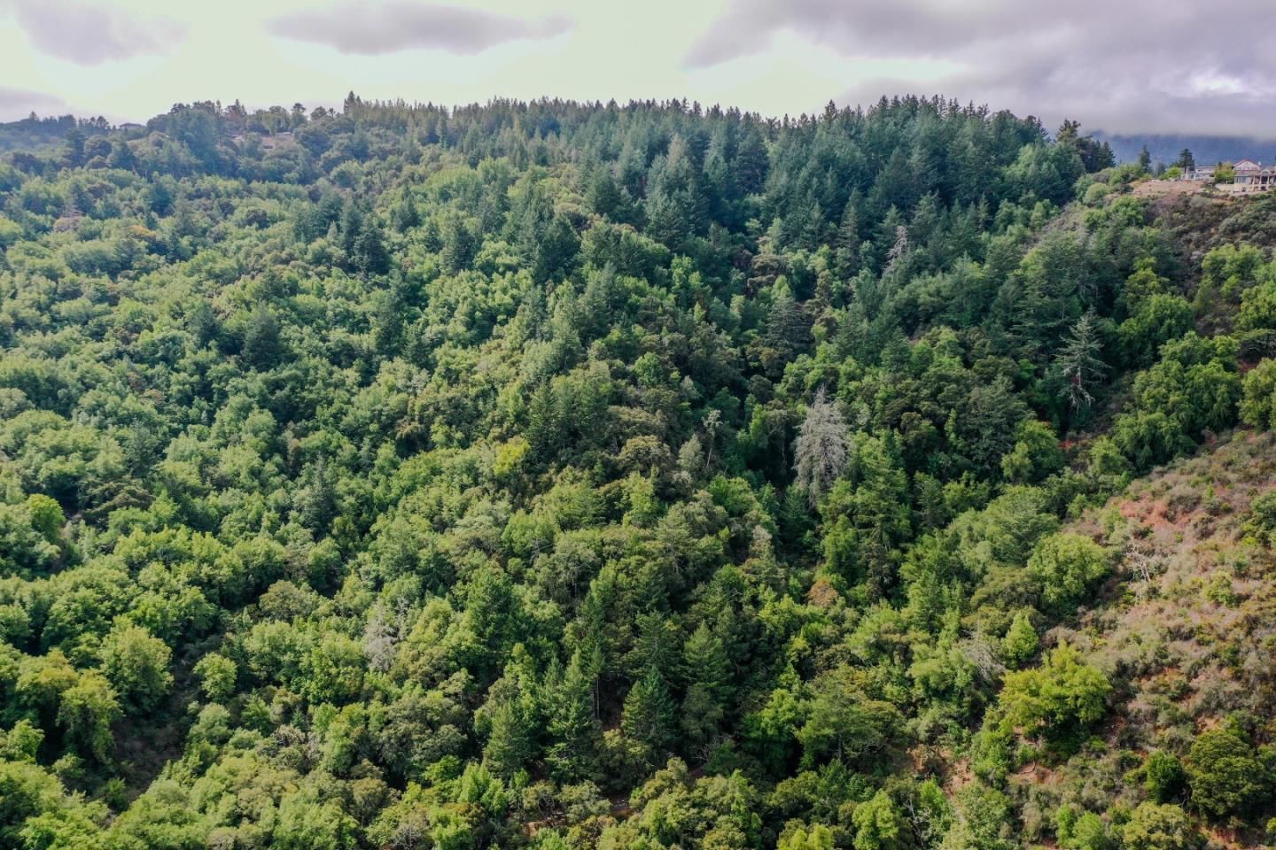 Wildcat Ridge