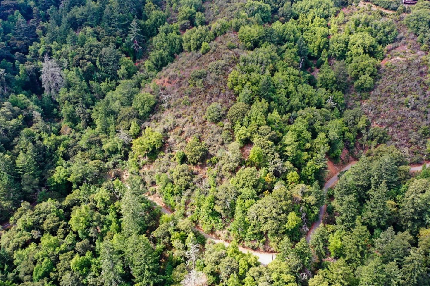 Wildcat Ridge