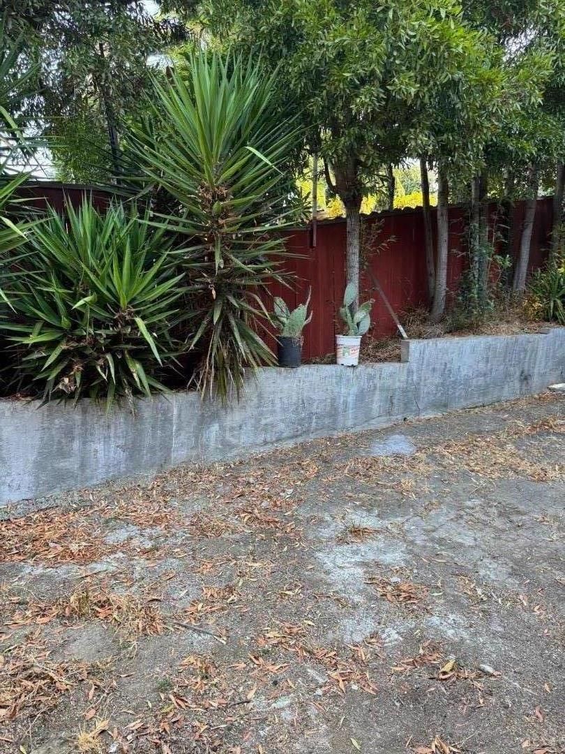 Bona