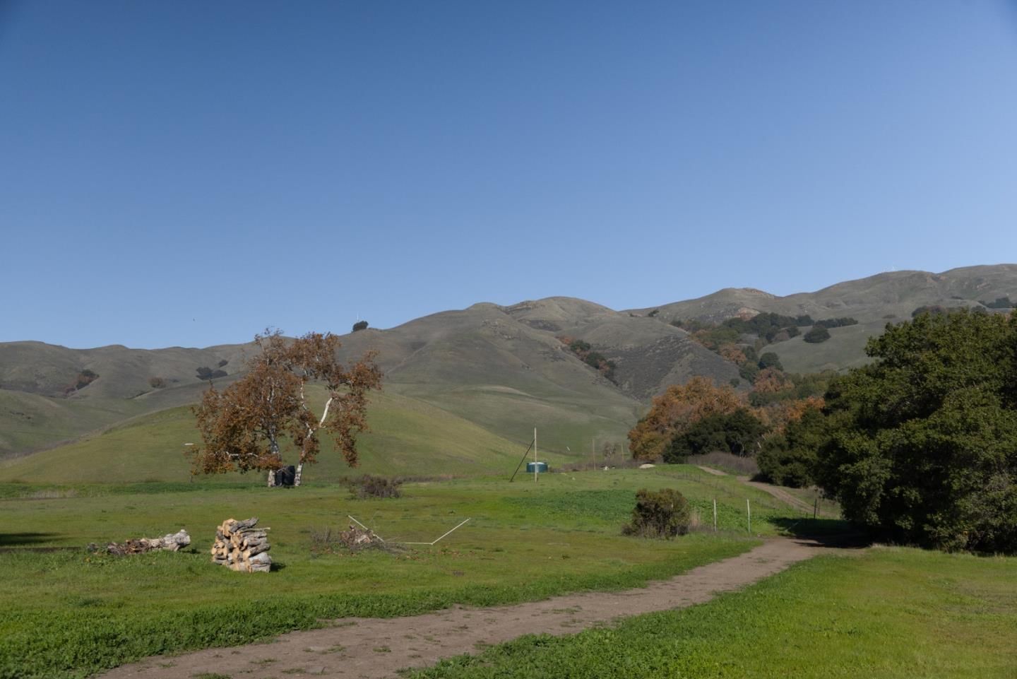 Scott Creek