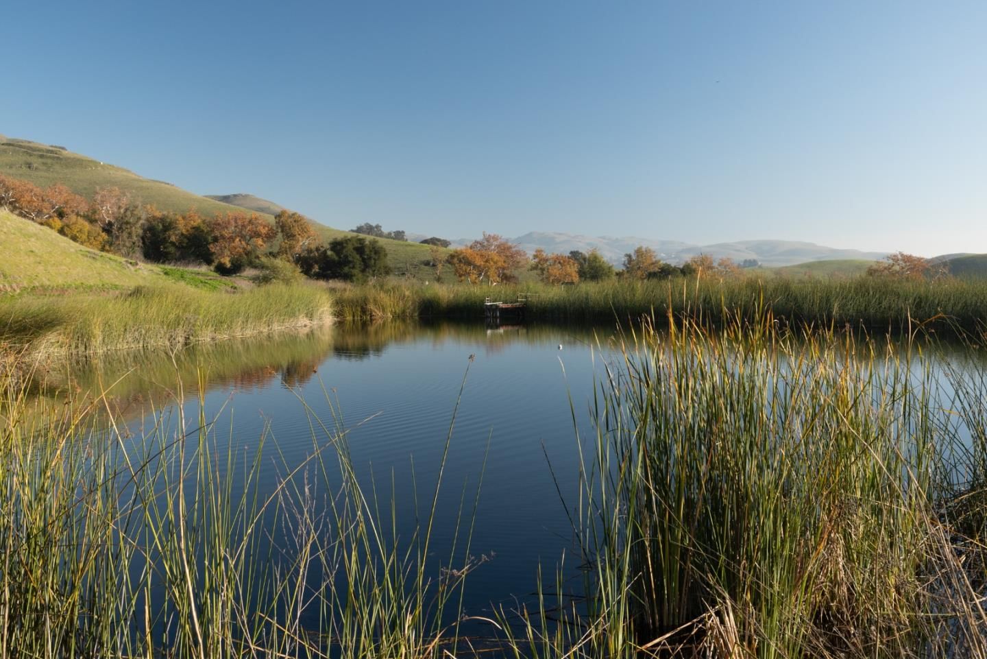 Scott Creek