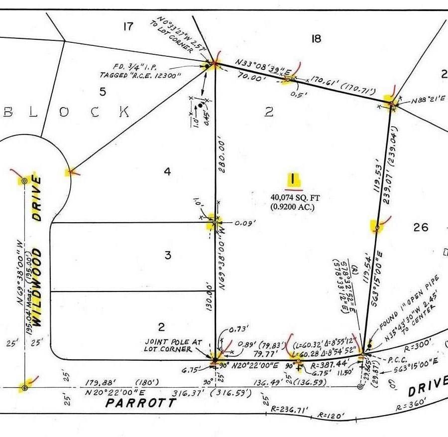 Parrott